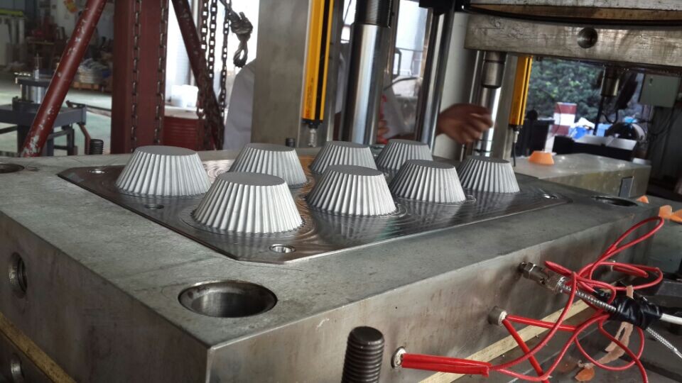 LSR cake mould mould 